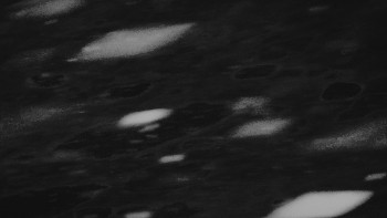 Ski areál U Sachovy studánky