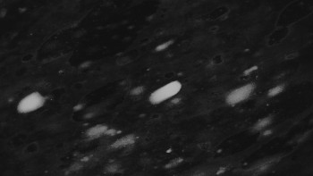 Ski areál U Sachovy studánky