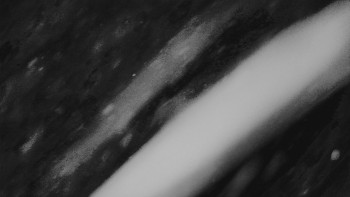 Ski areál U Sachovy studánky