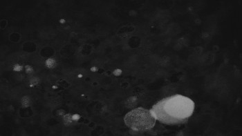 Ski areál U Sachovy studánky