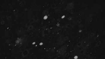 Ski areál U Sachovy studánky