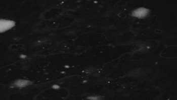 Ski areál U Sachovy studánky