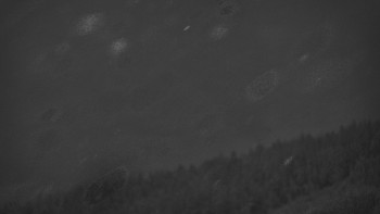 Ski areál U Sachovy studánky