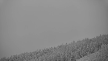 Ski areál U Sachovy studánky