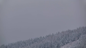 Ski areál U Sachovy studánky