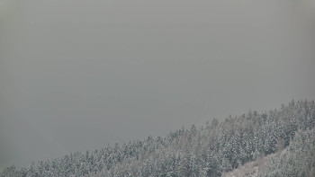 Ski areál U Sachovy studánky