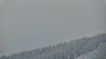 Ski areál U Sachovy studánky