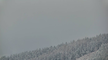 Ski areál U Sachovy studánky