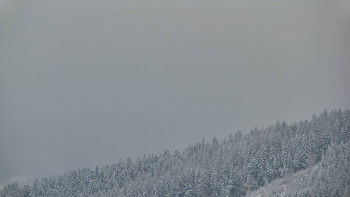 Ski areál U Sachovy studánky