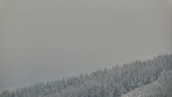 Ski areál U Sachovy studánky