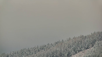 Ski areál U Sachovy studánky