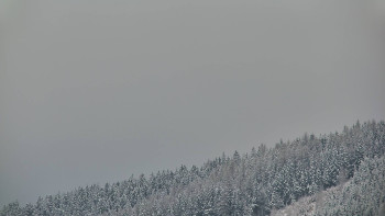 Ski areál U Sachovy studánky