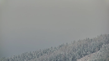 Ski areál U Sachovy studánky