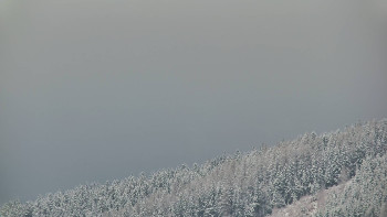 Ski areál U Sachovy studánky