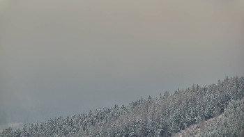 Ski areál U Sachovy studánky