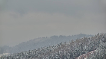 Ski areál U Sachovy studánky