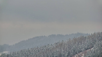 Ski areál U Sachovy studánky