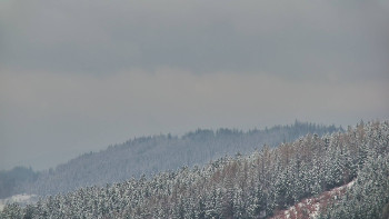 Ski areál U Sachovy studánky