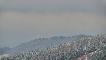 Ski areál U Sachovy studánky