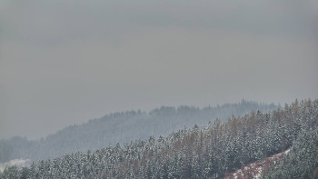 Ski areál U Sachovy studánky