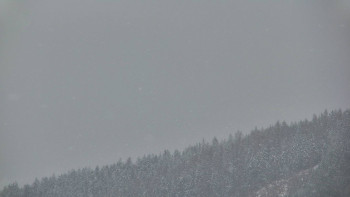 Ski areál U Sachovy studánky