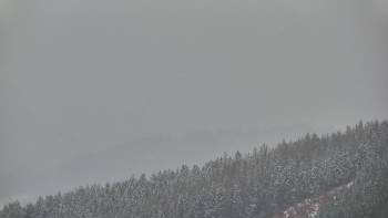 Ski areál U Sachovy studánky