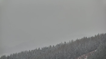 Ski areál U Sachovy studánky