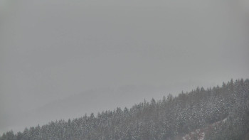 Ski areál U Sachovy studánky