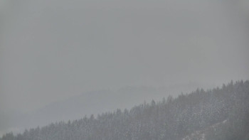 Ski areál U Sachovy studánky