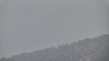 Ski areál U Sachovy studánky