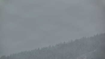 Ski areál U Sachovy studánky