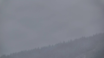 Ski areál U Sachovy studánky