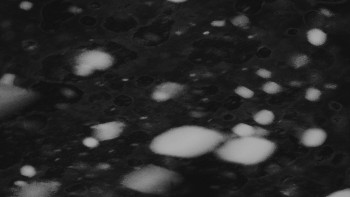 Ski areál U Sachovy studánky