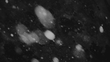 Ski areál U Sachovy studánky