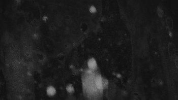 Ski areál U Sachovy studánky