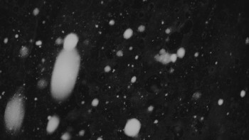 Ski areál U Sachovy studánky