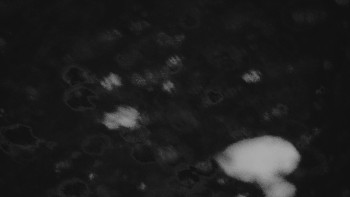 Ski areál U Sachovy studánky