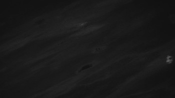 Ski areál U Sachovy studánky