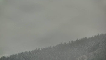 Ski areál U Sachovy studánky