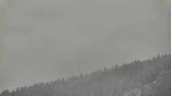 Ski areál U Sachovy studánky