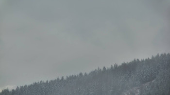 Ski areál U Sachovy studánky