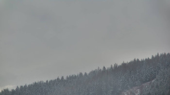 Ski areál U Sachovy studánky