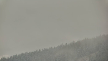 Ski areál U Sachovy studánky