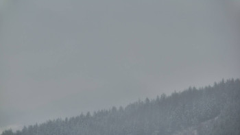 Ski areál U Sachovy studánky