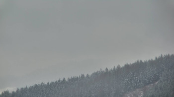 Ski areál U Sachovy studánky