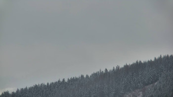 Ski areál U Sachovy studánky