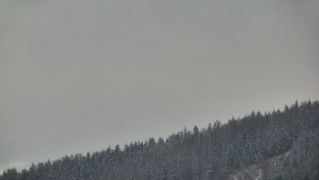 Ski areál U Sachovy studánky