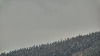 Ski areál U Sachovy studánky