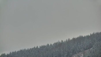 Ski areál U Sachovy studánky