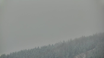 Ski areál U Sachovy studánky